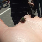 大先生の服に　春